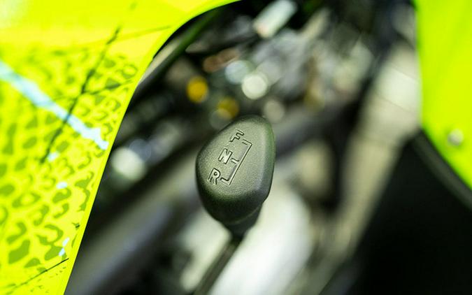 2026 Yamaha Raptor 110