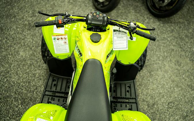 2026 Yamaha Raptor 110