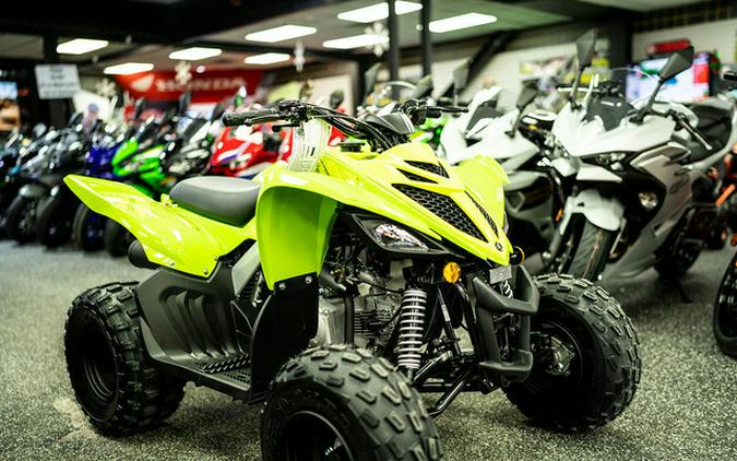 2026 Yamaha Raptor 110