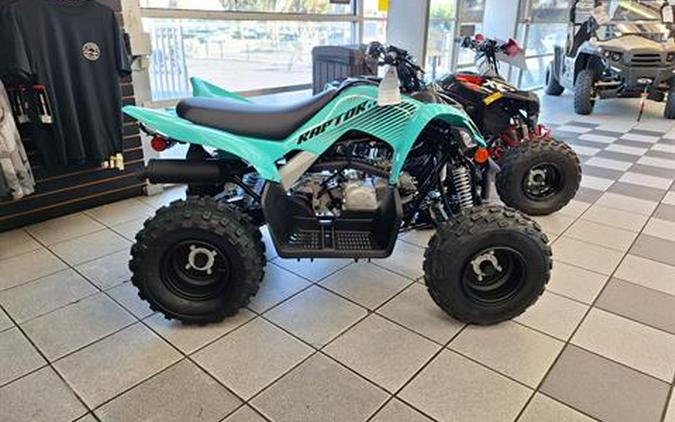 2024 Yamaha Raptor 110