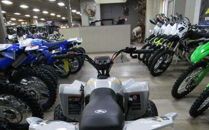 2026 Can-Am® Renegade 110 EFI