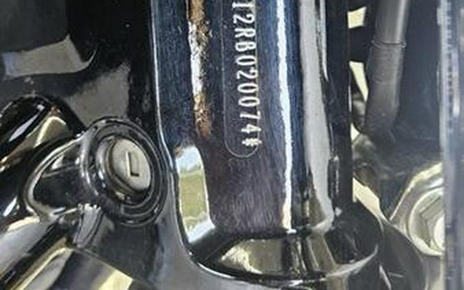 FXST 2024 Softail Standard