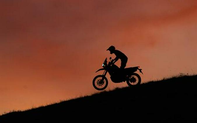 2022 Honda CRF300L Rally