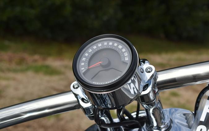 2026 Harley-Davidson® Breakout® FXBR