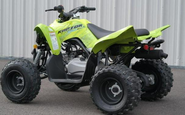 2026 Yamaha Raptor 110