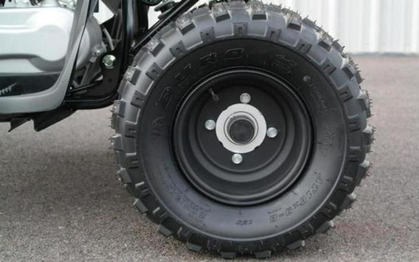 2026 Yamaha Raptor 110