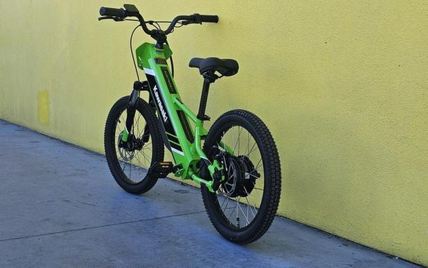 2025 Kawasaki Elektrode 20