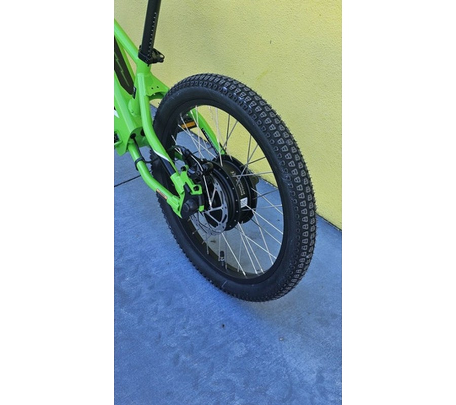 2025 Kawasaki Elektrode 20