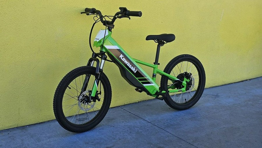 2025 Kawasaki Elektrode 20