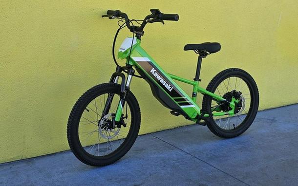 2025 Kawasaki Elektrode 20