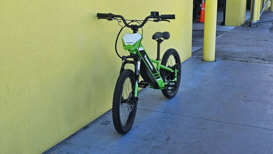 2025 Kawasaki Elektrode 20