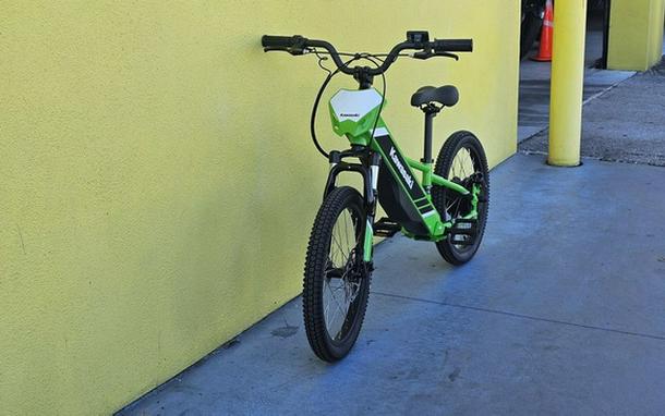 2025 Kawasaki Elektrode 20