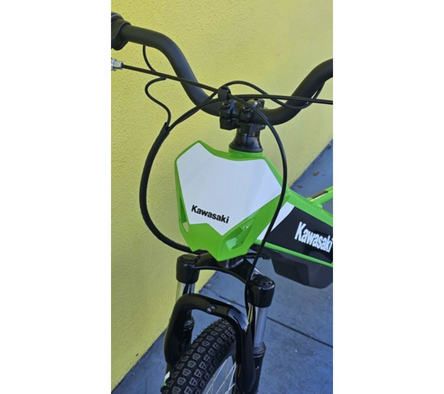 2025 Kawasaki Elektrode 20