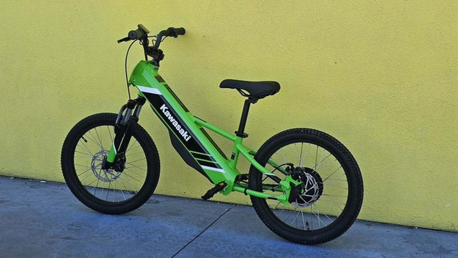 2025 Kawasaki Elektrode 20