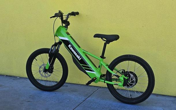 2025 Kawasaki Elektrode 20