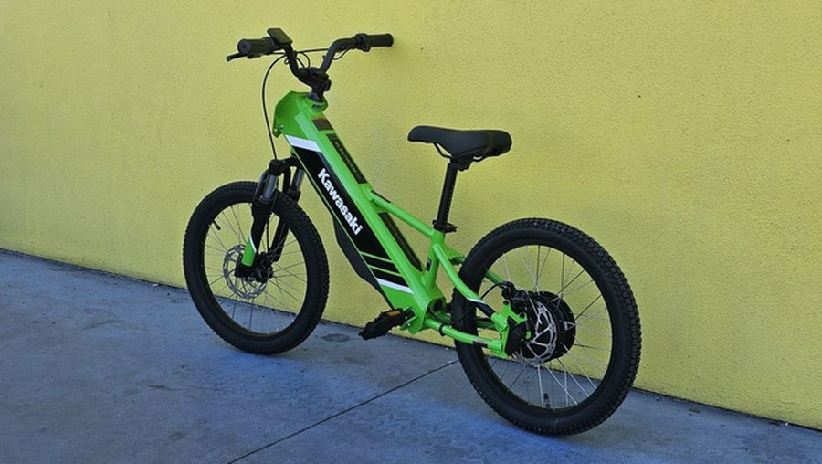 2025 Kawasaki Elektrode 20