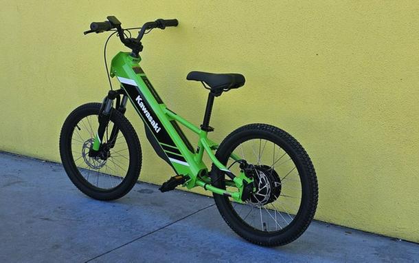 2025 Kawasaki Elektrode 20