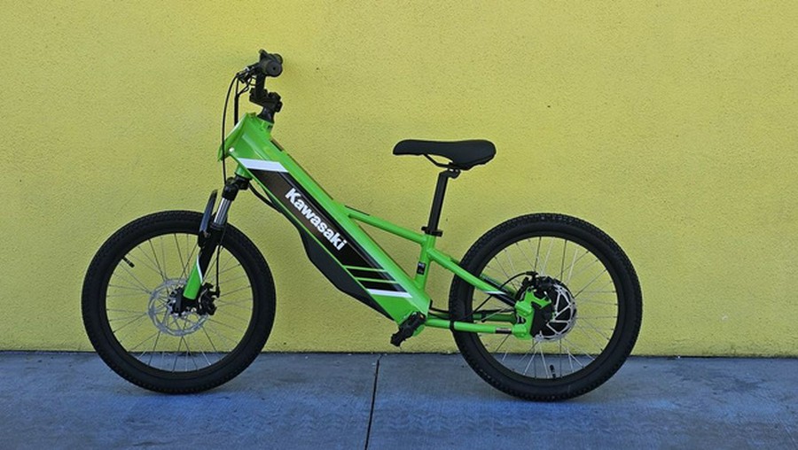2025 Kawasaki Elektrode 20