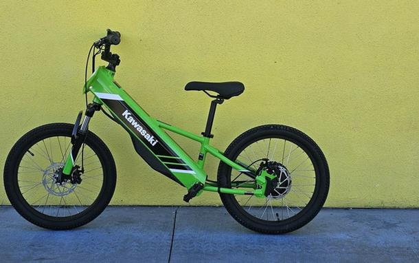 2025 Kawasaki Elektrode 20