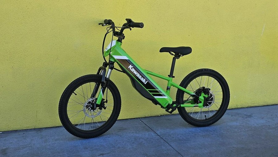 2025 Kawasaki Elektrode 20