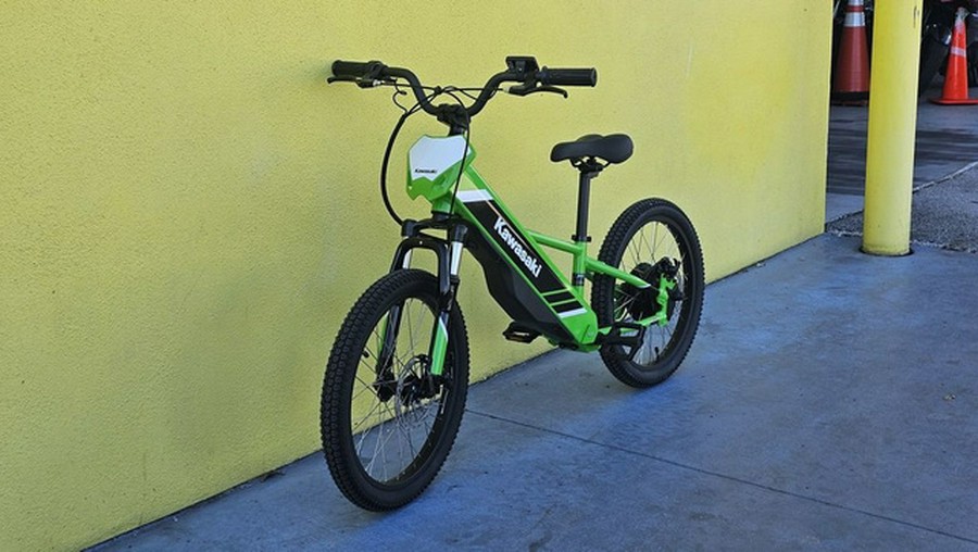 2025 Kawasaki Elektrode 20