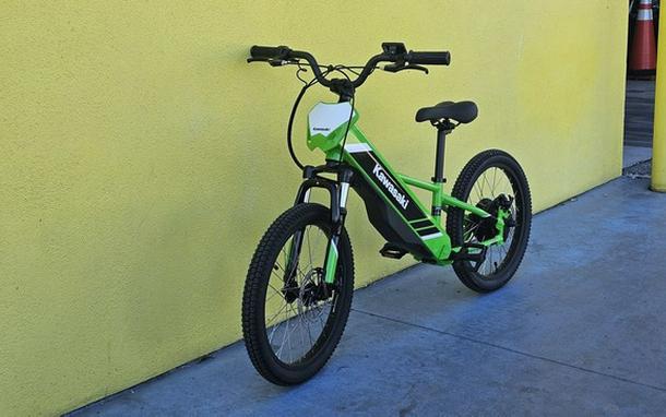 2025 Kawasaki Elektrode 20