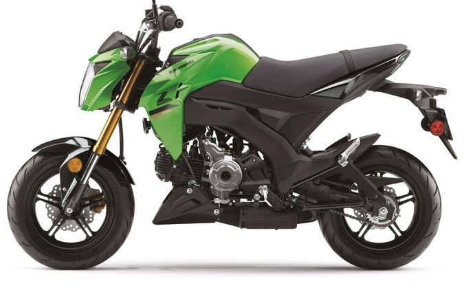 2024 Kawasaki Z125 Pro