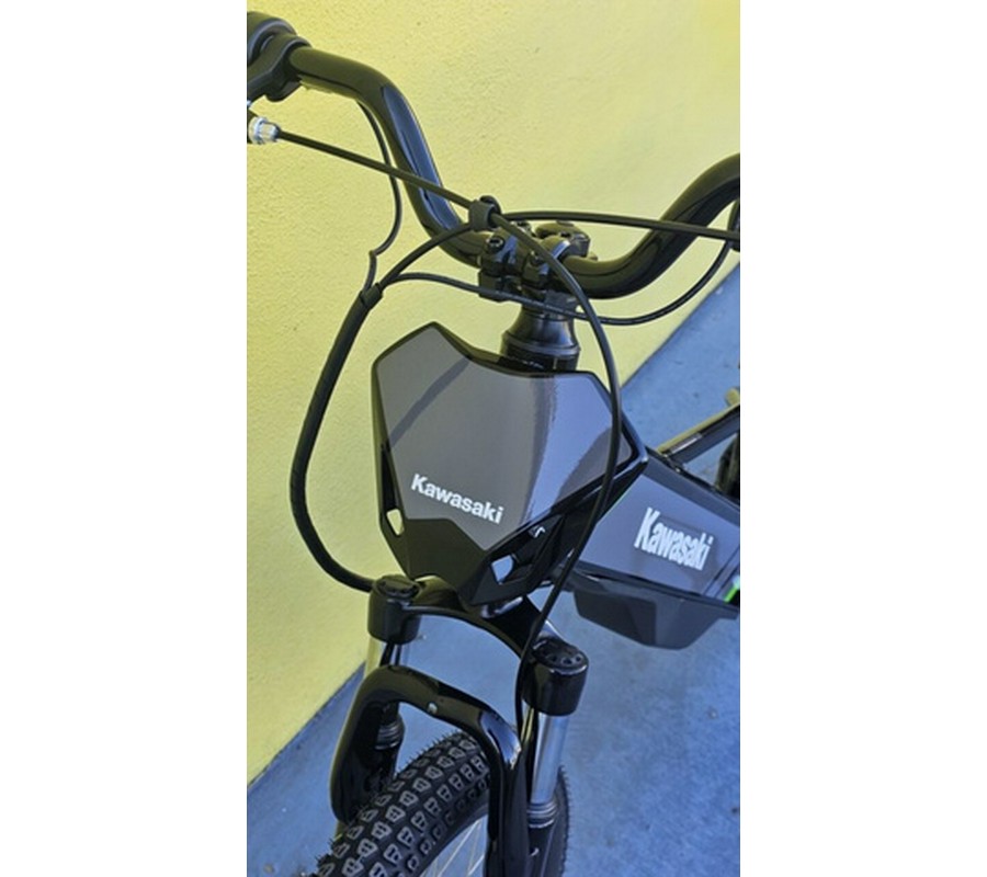2025 Kawasaki Elektrode 20
