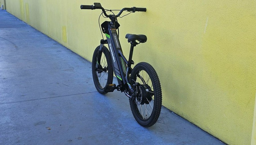 2025 Kawasaki Elektrode 20