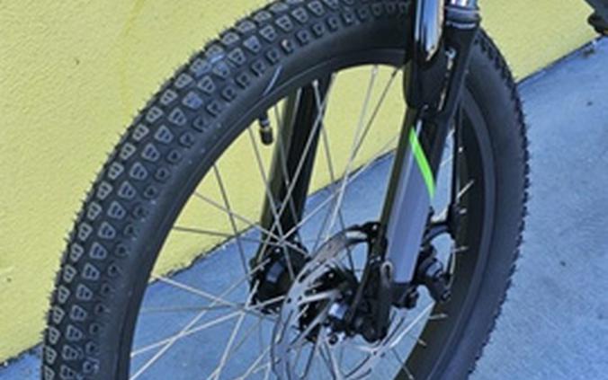 2025 Kawasaki Elektrode 20