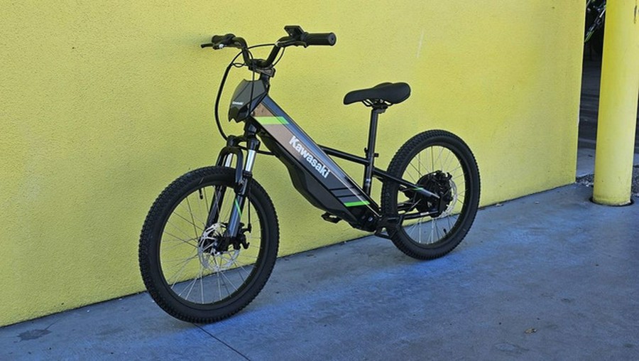 2025 Kawasaki Elektrode 20