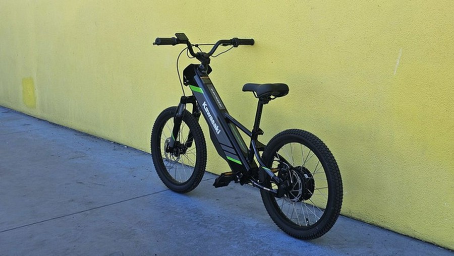 2025 Kawasaki Elektrode 20