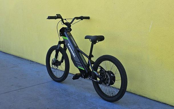 2025 Kawasaki Elektrode 20