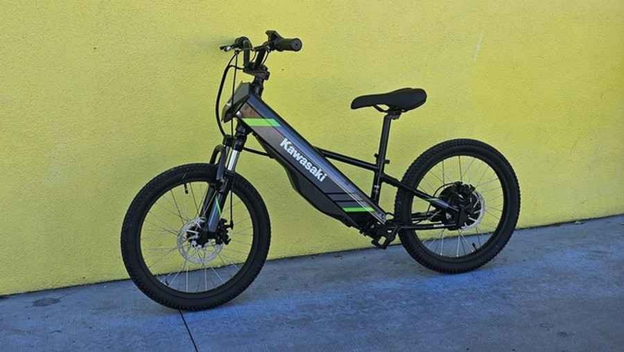 2025 Kawasaki Elektrode 20