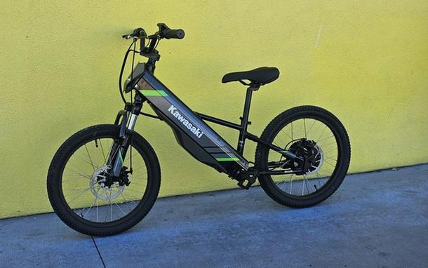 2025 Kawasaki Elektrode 20