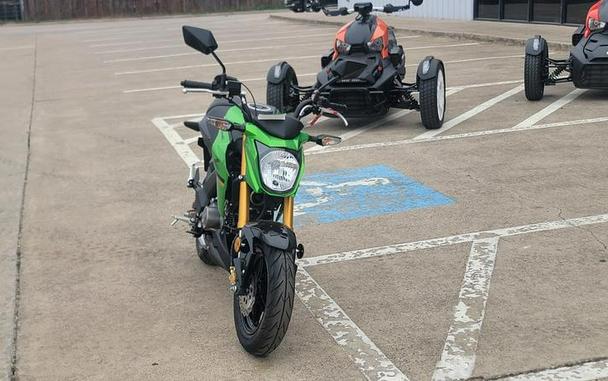 2024 Kawasaki Z125 PRO