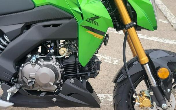 2024 Kawasaki Z125 PRO