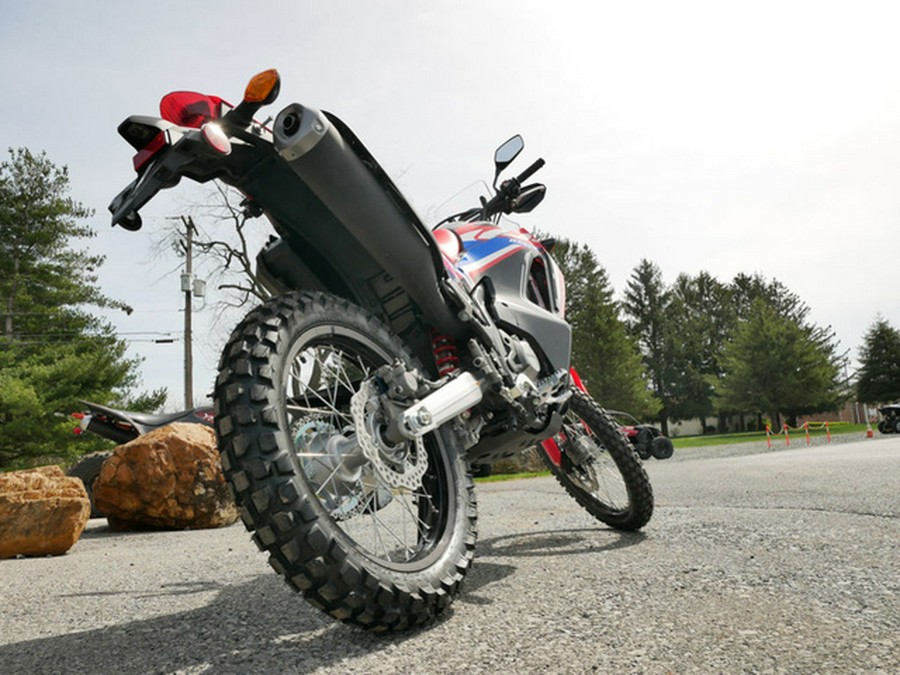 2024 Honda CRF 300L Rally