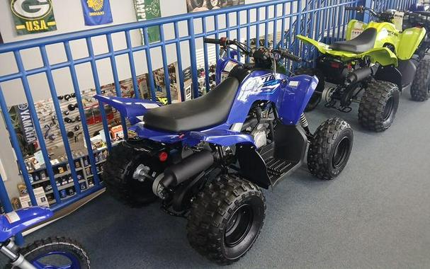 2026 Yamaha Raptor 110