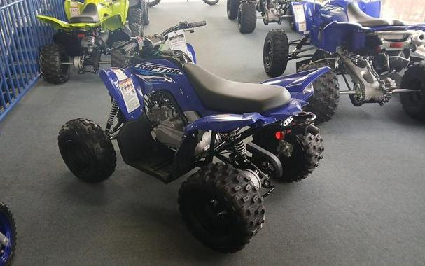 2026 Yamaha Raptor 110