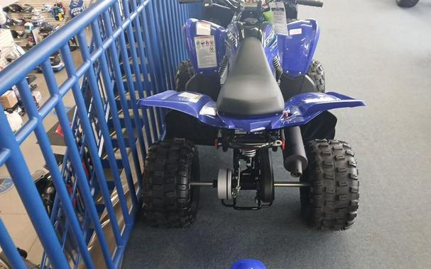 2026 Yamaha Raptor 110