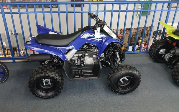 2026 Yamaha Raptor 110