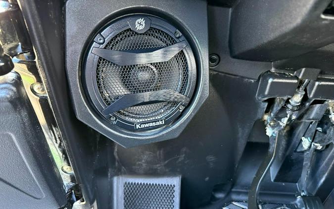 2025 Kawasaki Teryx4 S SE