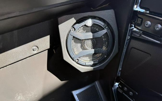 2025 Kawasaki Teryx4 S SE