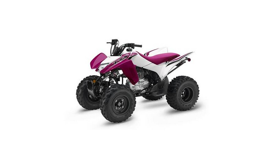 2023 Honda TRX250X