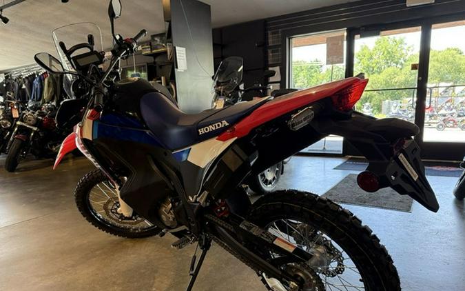 2025 Honda CRF300L Rally ABS