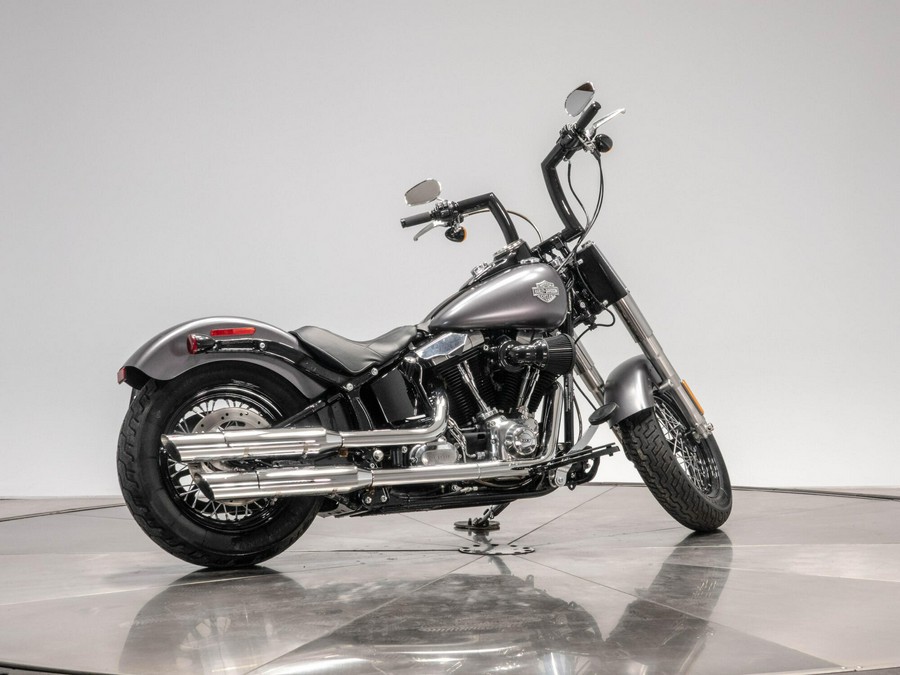 2015 HARLEY-DAVIDSON FLS SLIM in Charcoal Satin