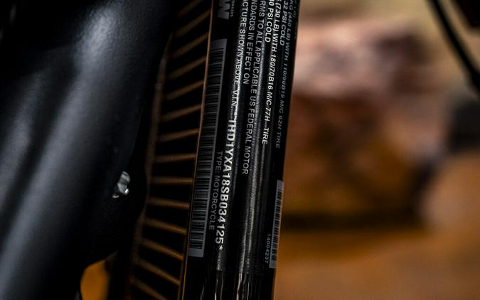 2025 Harley-Davidson Low Rider ST