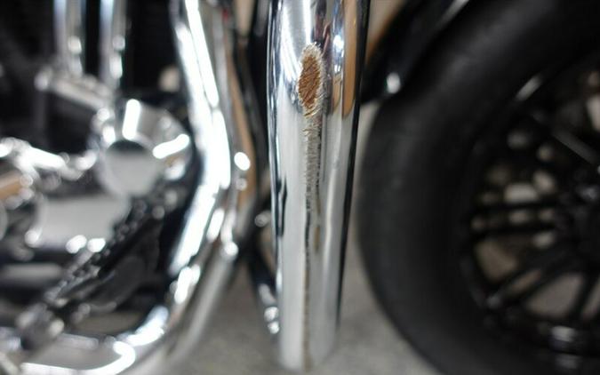 2019 Harley-Davidson Sportster 1200 Forty-Eight Special