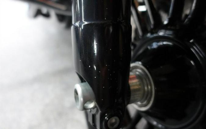 2019 Harley-Davidson Sportster 1200 Forty-Eight Special